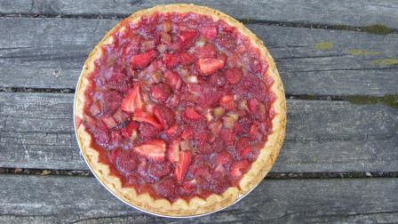 Topless Rhubarb Pie Topless Rhubarb Pie picture