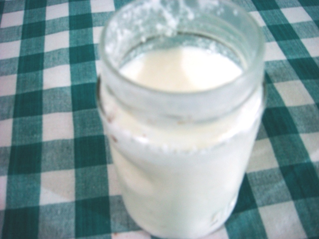 home made yogurt-srilanka home made yogurt-srilanka picture