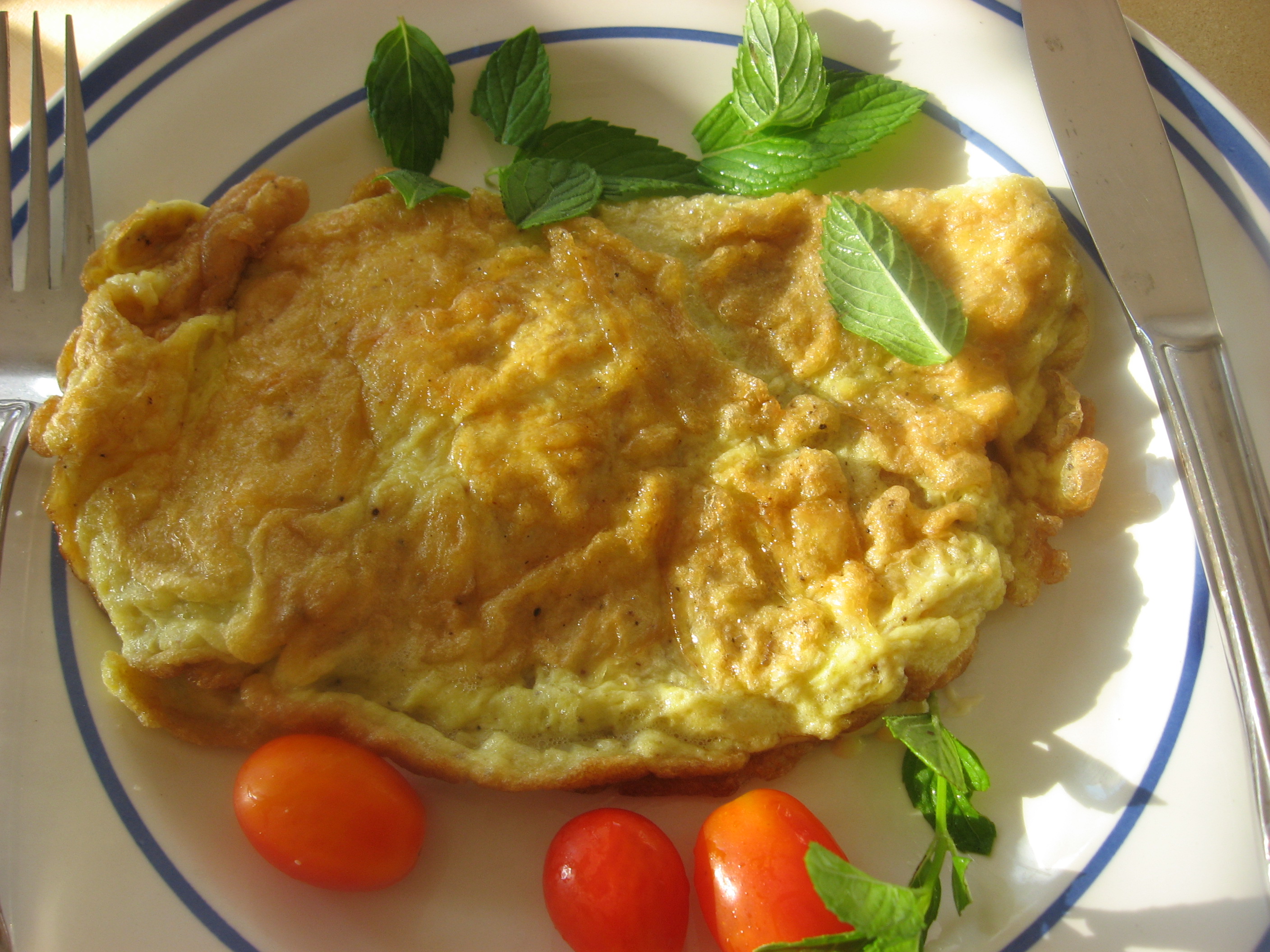 Cheese Omelette from Sheba's Kitchen Cheese Omelette from Sheba's Kitchen picture