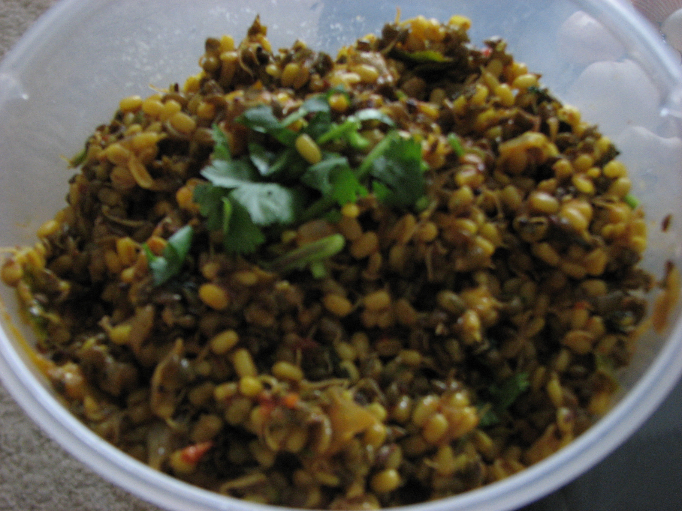 Sprout mung Usal (Mung sprouts) Sprout mung Usal (Mung sprouts) picture