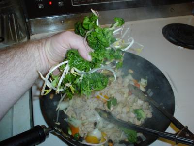 Noodle Bowl Noodle Bowl picture