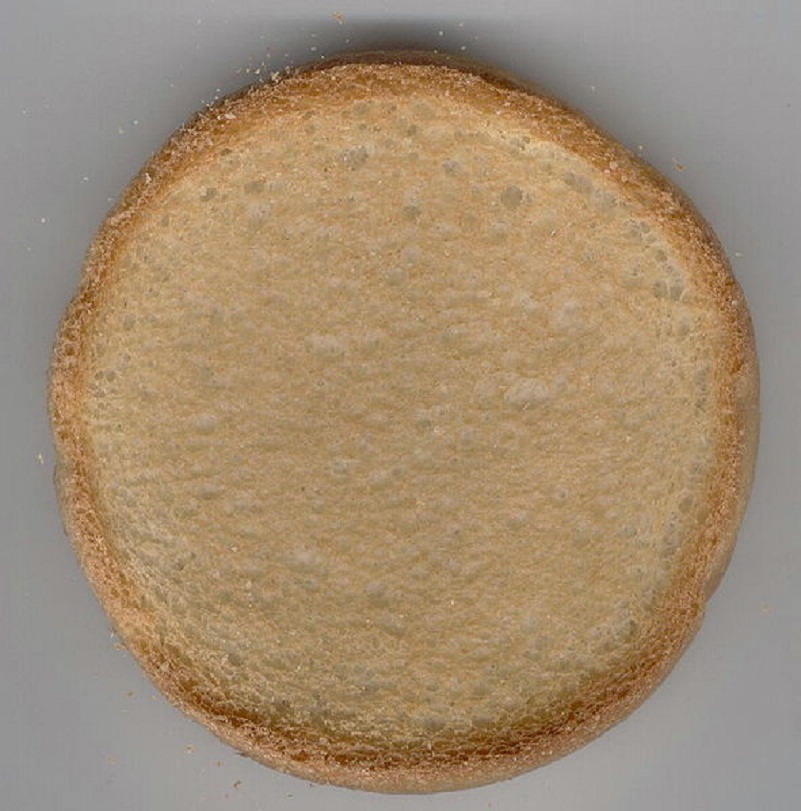 Anise Rusks Anise Rusks picture