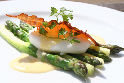 Asparagus, Warm Poached Egg & Hollandaise Sauce Asparagus, Warm Poached Egg & Hollandaise Sauce picture