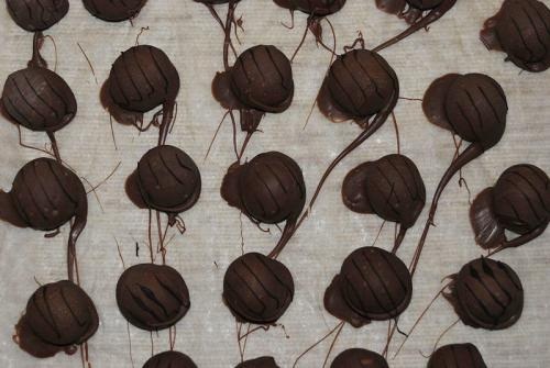 Bittersweet Chocolate Coated Truffles Bittersweet Chocolate Coated Truffles picture