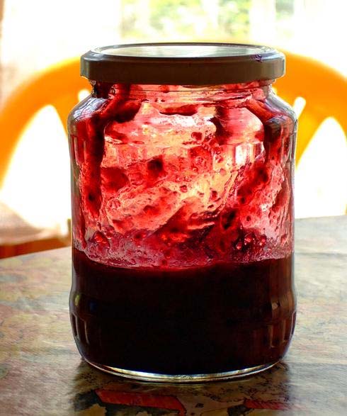 Black Currant Jam Black Currant Jam picture