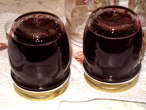 Black Currant Jelly Black Currant Jelly picture