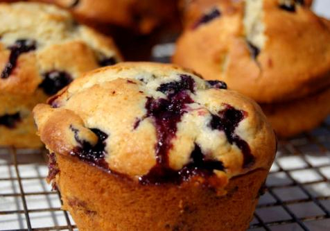 Blueberry Cheese Muffins Blueberry Cheese Muffins picture