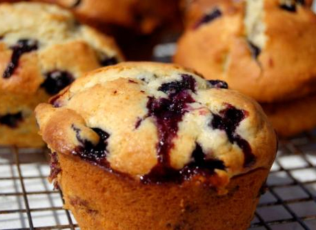 Blueberry Muffins Blueberry Muffins picture