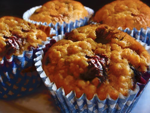Blueberry Wheat Germ Muffins Blueberry Wheat Germ Muffins picture