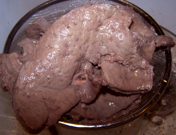 Boiled Liver Boiled Liver picture