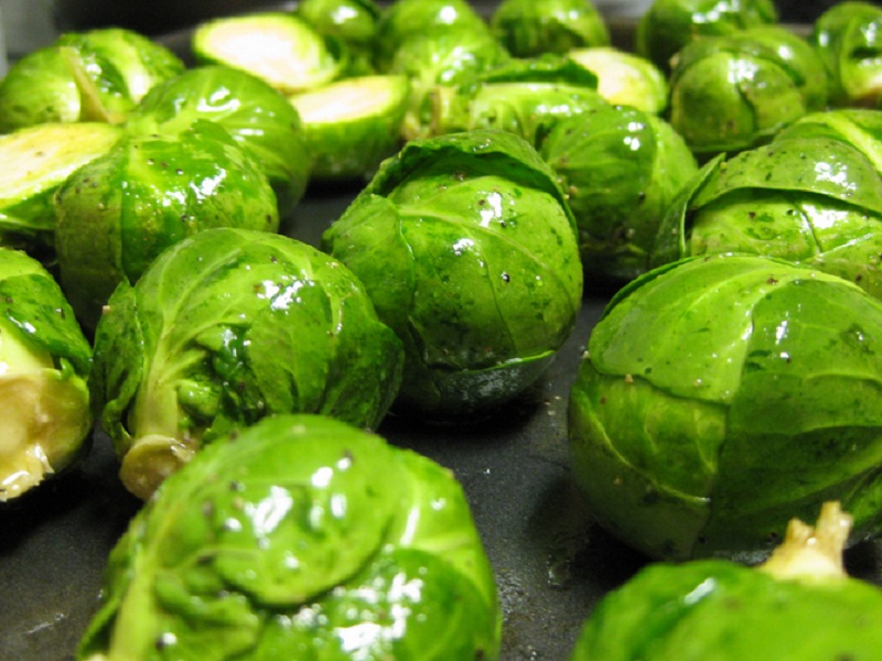 Boiled Brussels Sprouts Boiled Brussels Sprouts picture