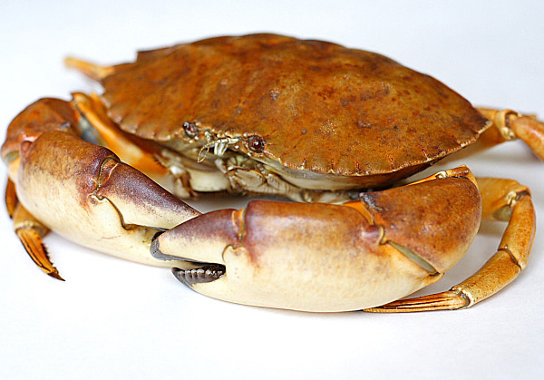 Boiled Crab Boiled Crab picture