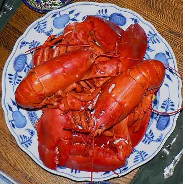 Boiled Live Lobsters Boiled Live Lobsters picture