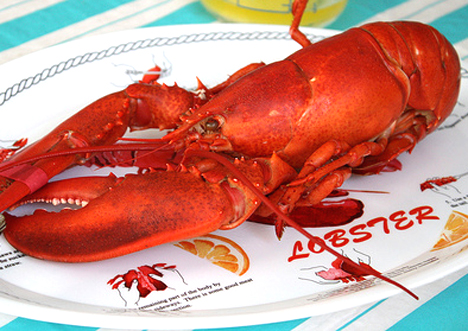 Boiled Lobster Boiled Lobster picture