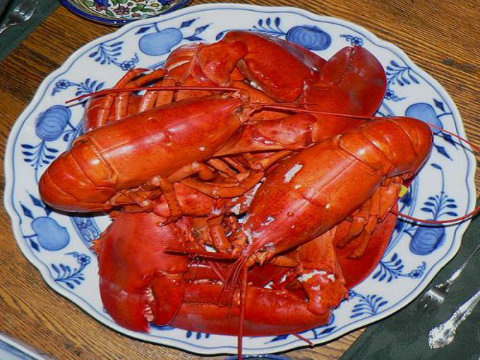 Boiled Lobster with Drawn Butter and Lemon Boiled Lobster with Drawn Butter and Lemon picture