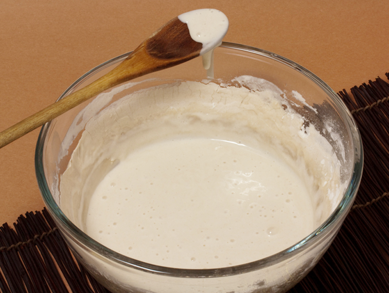 Bread Yeast Starter Bread Yeast Starter picture