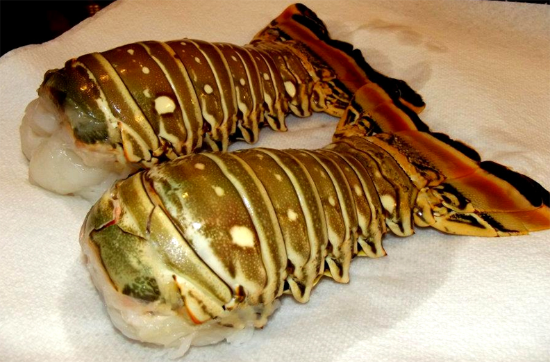 Broiled Rock Lobster Tails Broiled Rock Lobster Tails picture