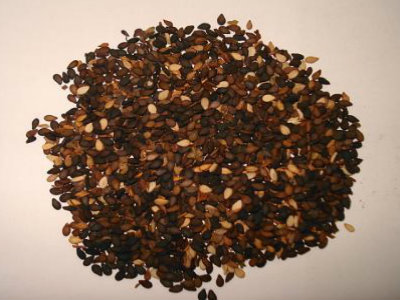 Dry Roasted Sesame Seeds Dry Roasted Sesame Seeds picture