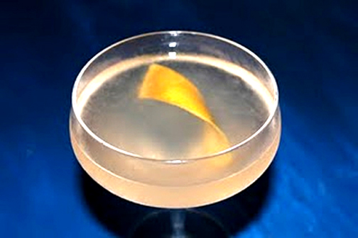 Bull Shot Cocktail Bull Shot Cocktail picture