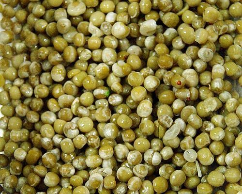 Buttered Green Peas Buttered Green Peas picture