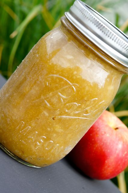 Applesauce Applesauce picture