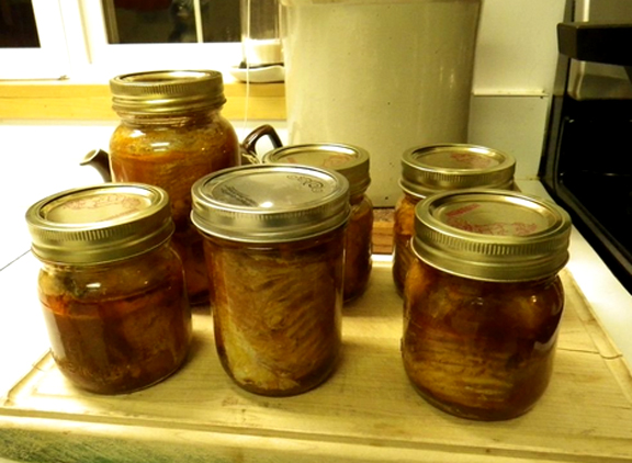 Canned Trout Canned Trout picture