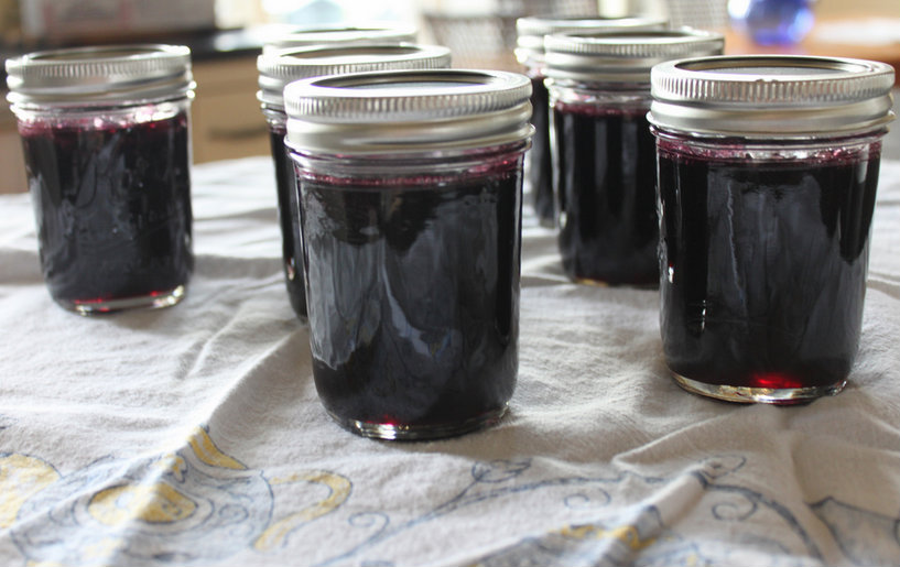 Concord Grape Jelly Concord Grape Jelly picture