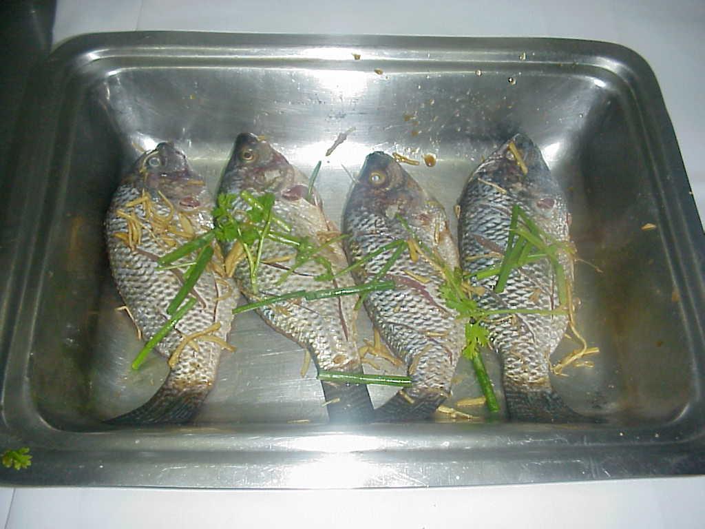 STEAMED FISH WITH NON YA CHILLI SAUCE picture