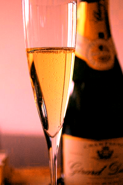 Champagne Cup Champagne Cup picture