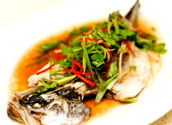 Chinese Sea Bass Chinese Sea Bass picture