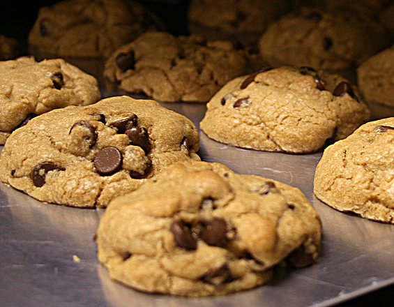 Chocolate Chip Cookies Chocolate Chip Cookies picture