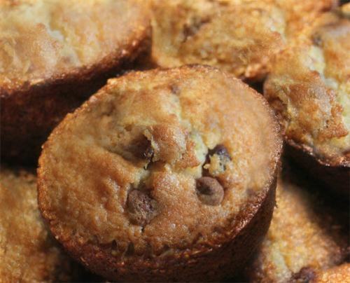 Chocolate Chip Muffins Chocolate Chip Muffins picture