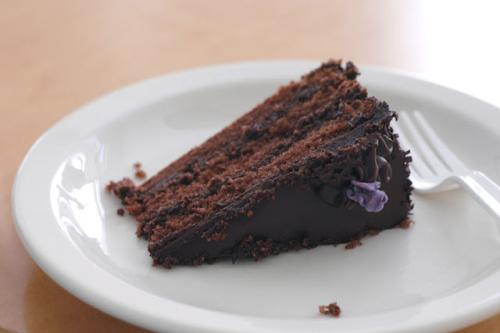 Chocolate Pastry Torte Chocolate Pastry Torte picture