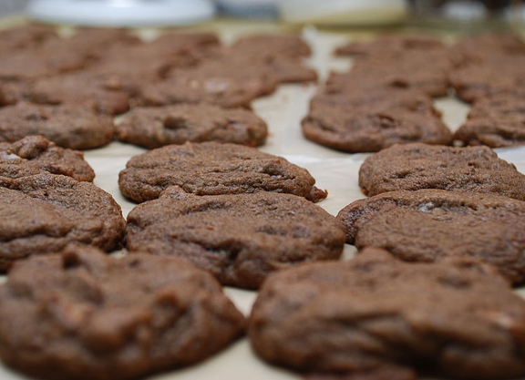 Chocolate Peanut Cookies Chocolate Peanut Cookies picture