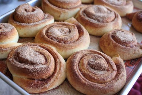 Cinnamon Rolls Cinnamon Rolls picture