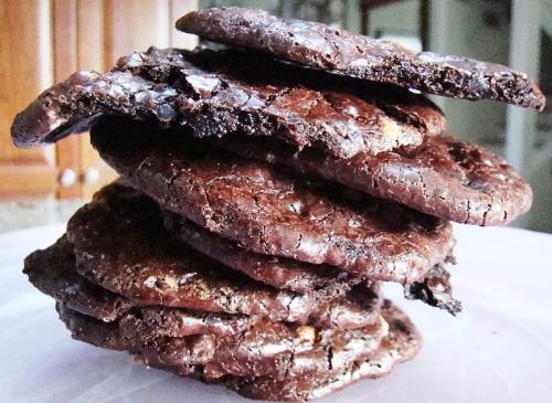 Cocoa Cut Out Cookies Cocoa Cut Out Cookies picture