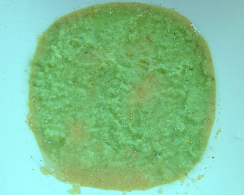 Coconut Chutney Coconut Chutney picture