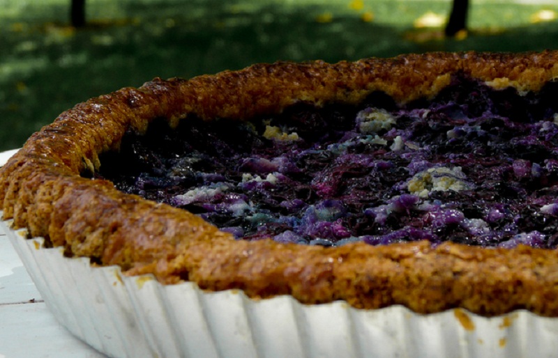 Cottage Cheesecake Pie Cottage Cheesecake Pie picture