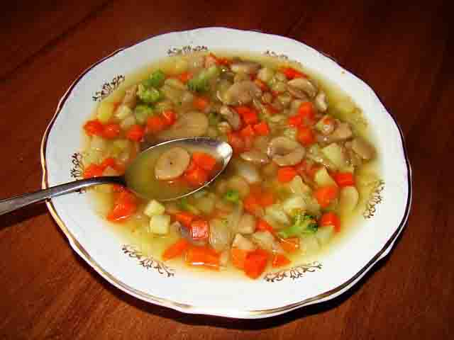 CREAM OF MUSHROOM AND VEGETABLE SOUP CREAM OF MUSHROOM AND VEGETABLE SOUP picture