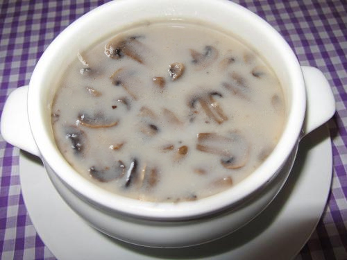 Cream of Mushroom Soup Cream of Mushroom Soup picture