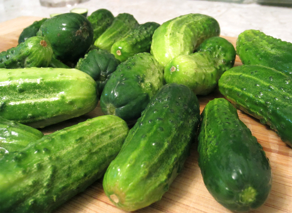 Sweet Cucumber Pickles Sweet Cucumber Pickles picture