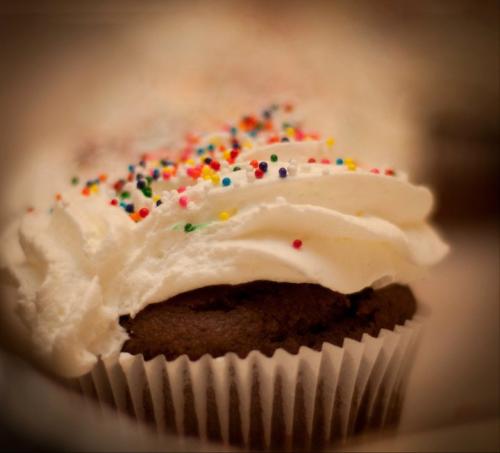 Cocoa Cupcakes Cocoa Cupcakes picture