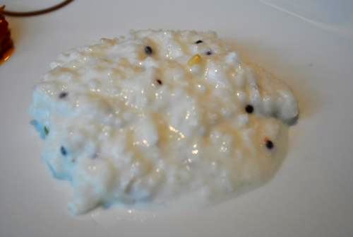 Curd Rice Curd Rice picture