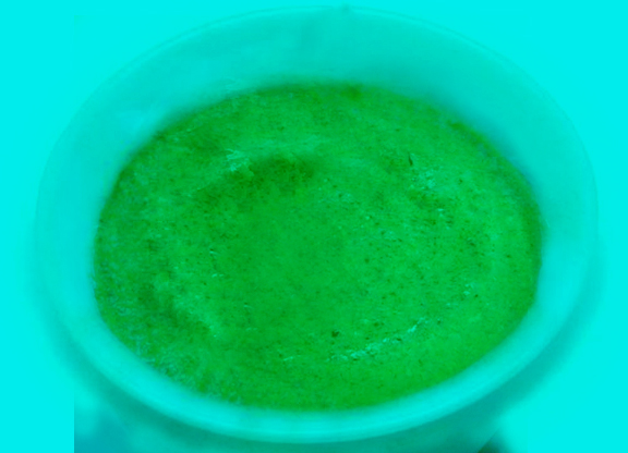 Dahi Pudina Chutney Dahi Pudina Chutney picture