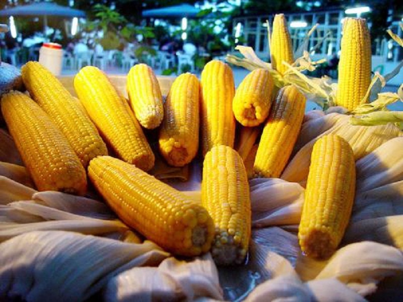 Diet Corn on the Cob Diet Corn on the Cob picture