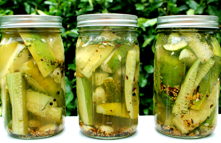 Dill Pickles Short Method Dill Pickles Short Method picture
