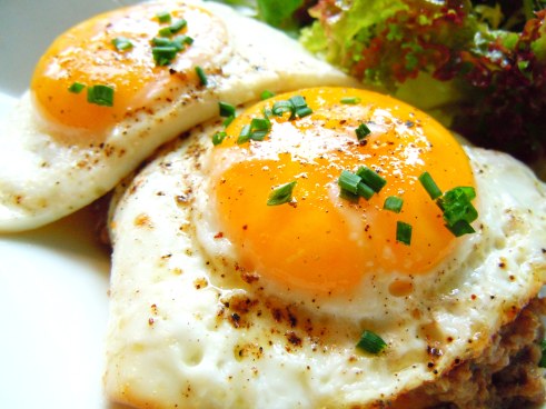 Eggs José Eggs José picture