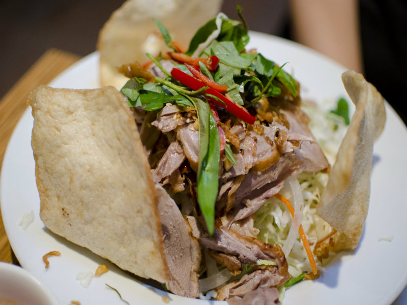 Chinese Duck Salad Chinese Duck Salad picture