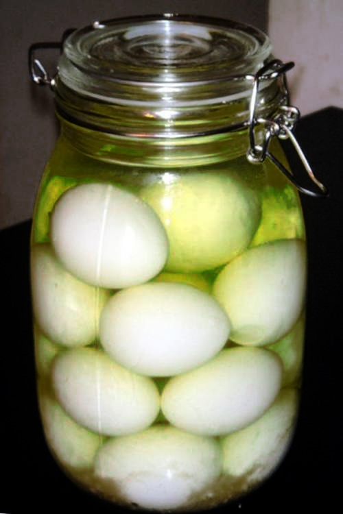Egg Pickle Egg Pickle picture