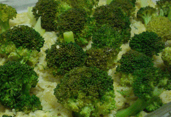 Eggs Divan Eggs Divan picture
